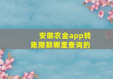 安徽农金app转账限额哪里查询的