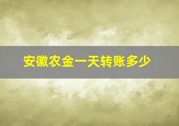 安徽农金一天转账多少