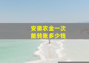 安徽农金一次能转账多少钱