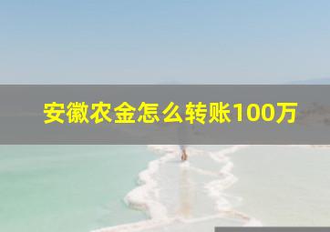 安徽农金怎么转账100万