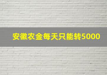 安徽农金每天只能转5000