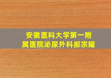 安徽医科大学第一附属医院泌尿外科郝宗耀