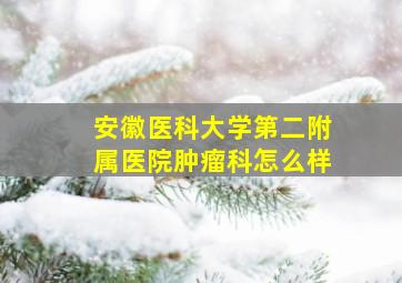 安徽医科大学第二附属医院肿瘤科怎么样