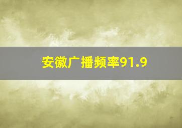 安徽广播频率91.9