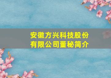 安徽方兴科技股份有限公司董秘简介