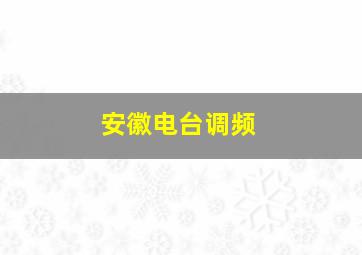 安徽电台调频