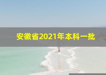 安徽省2021年本科一批