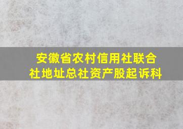 安徽省农村信用社联合社地址总社资产股起诉科