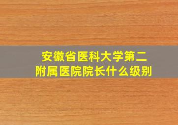 安徽省医科大学第二附属医院院长什么级别