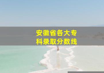 安徽省各大专科录取分数线