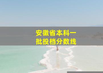 安徽省本科一批投档分数线