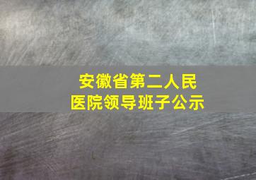 安徽省第二人民医院领导班子公示