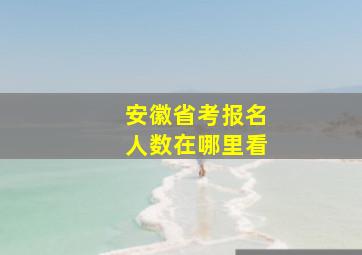 安徽省考报名人数在哪里看