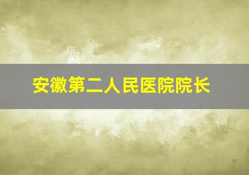 安徽第二人民医院院长