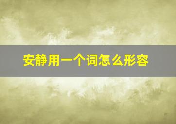 安静用一个词怎么形容