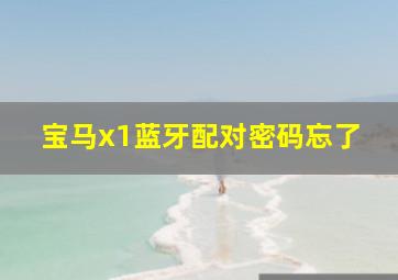 宝马x1蓝牙配对密码忘了