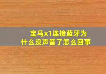 宝马x1连接蓝牙为什么没声音了怎么回事