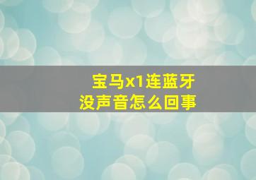 宝马x1连蓝牙没声音怎么回事