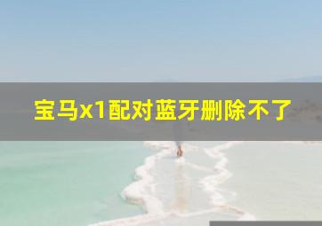 宝马x1配对蓝牙删除不了