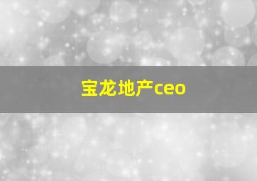 宝龙地产ceo