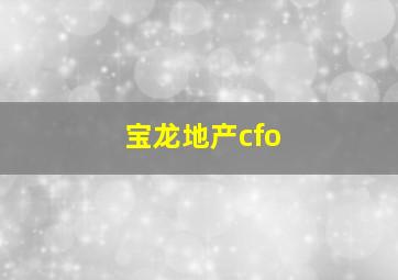 宝龙地产cfo