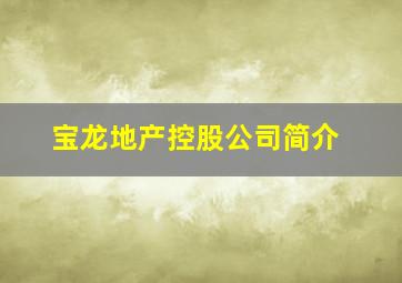 宝龙地产控股公司简介