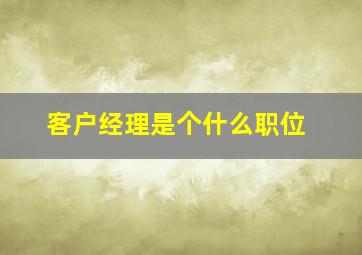 客户经理是个什么职位