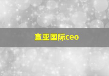 宣亚国际ceo