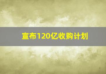 宣布120亿收购计划