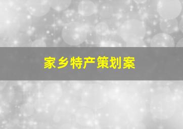 家乡特产策划案