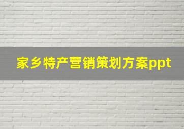 家乡特产营销策划方案ppt