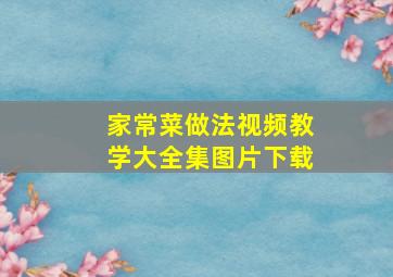 家常菜做法视频教学大全集图片下载