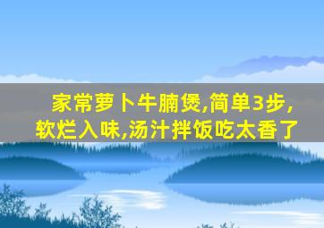 家常萝卜牛腩煲,简单3步,软烂入味,汤汁拌饭吃太香了