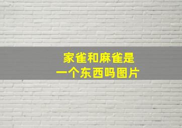 家雀和麻雀是一个东西吗图片