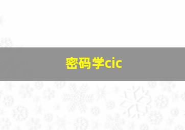 密码学cic