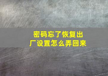 密码忘了恢复出厂设置怎么弄回来