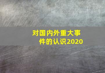 对国内外重大事件的认识2020