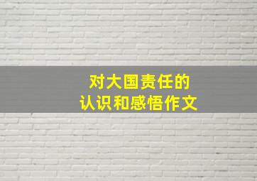 对大国责任的认识和感悟作文