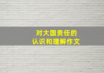 对大国责任的认识和理解作文