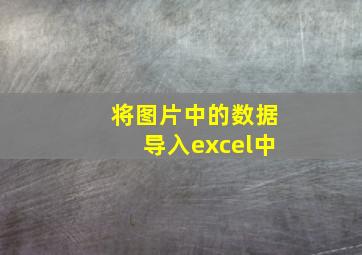 将图片中的数据导入excel中