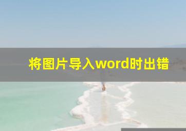 将图片导入word时出错