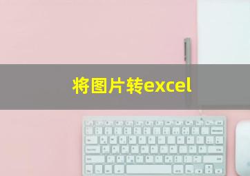 将图片转excel