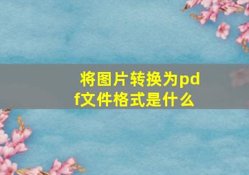 将图片转换为pdf文件格式是什么