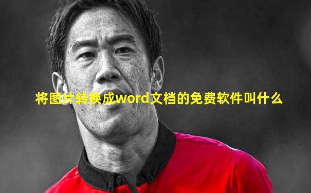 将图片转换成word文档的免费软件叫什么