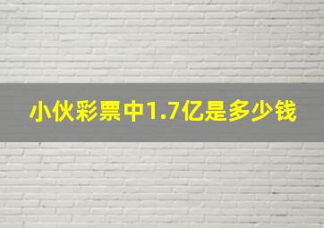 小伙彩票中1.7亿是多少钱