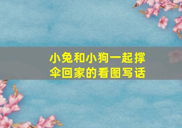 小兔和小狗一起撑伞回家的看图写话