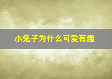 小兔子为什么可爱有趣