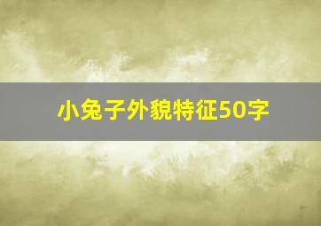 小兔子外貌特征50字