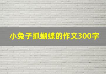 小兔子抓蝴蝶的作文300字