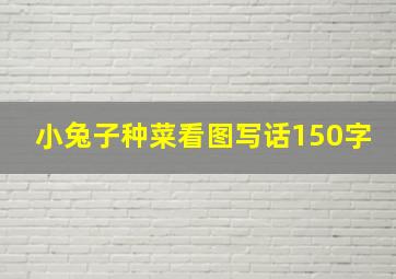 小兔子种菜看图写话150字